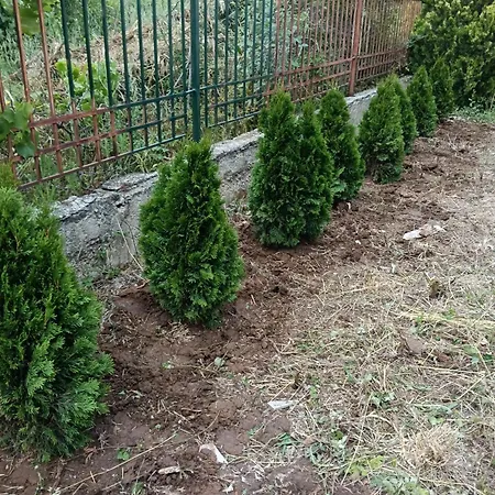 смокиня Holiday home Sozopol